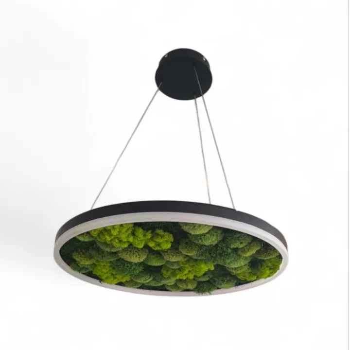 Závěsné kruhové LED svítidlo o průměru 60 cm s mechem uvnitř