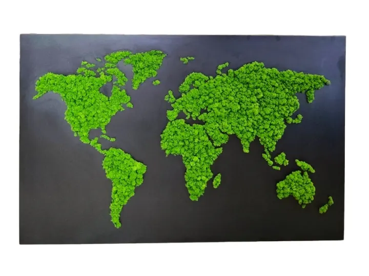 Mapa světa z finského sobího mechu v černém kovovém rámu 145×93 cm